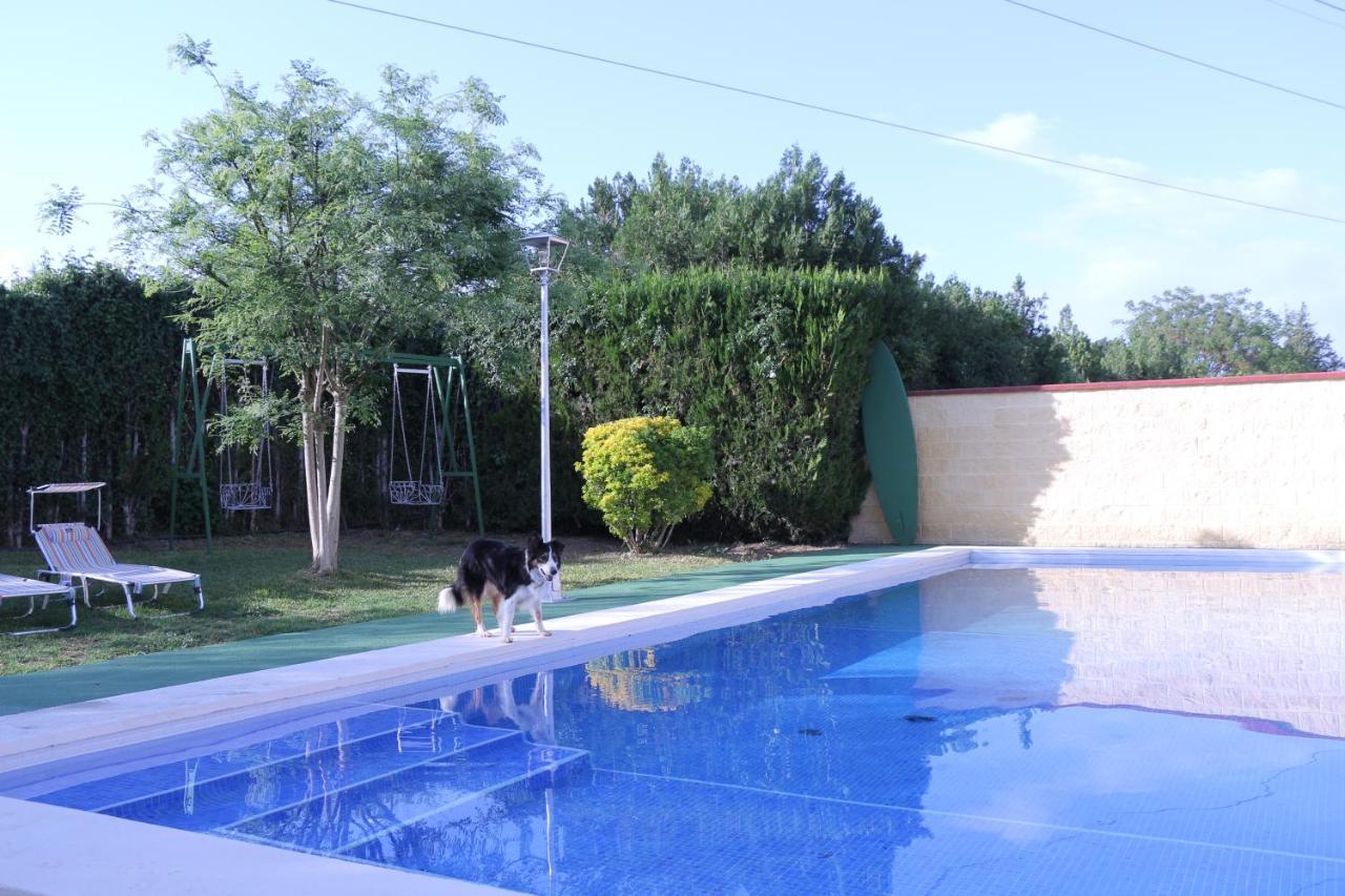Hierbabuena Apartment Valencina de la Concepción